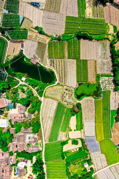 Land Mapping