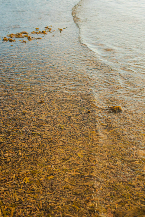 Sediment move monitoring